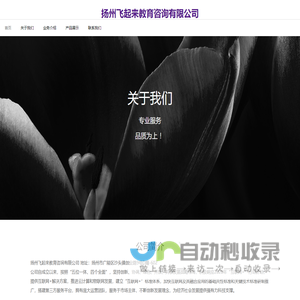 上海网站建设公司|上海自适应网站制作|上海仿制网站建设公司-智淇网络