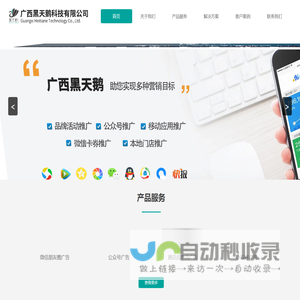 广西黑天鹅科技有限公司